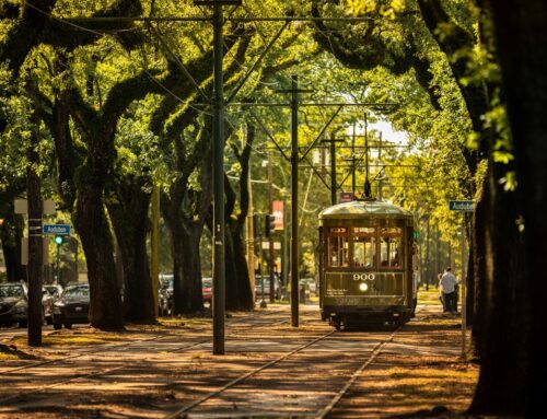 Acupuncture Care & Natural Allergy Relief in Uptown New Orleans